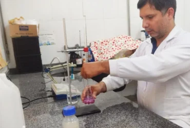 Cajus-do-cerrado coletados no campo para realização de testes