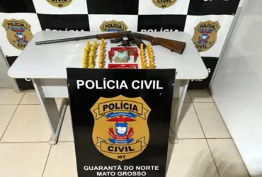 Polícia Civil apreende armas em carreta e prende caminhoneiro em Guarantã do Norte