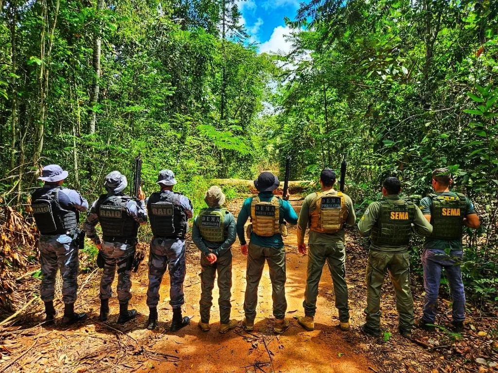 Polícia Civil apreende carga milionária de madeira ilegal em Mato Grosso