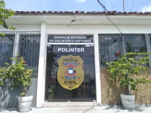 Polícia Civil cumpre 24 mandados de prisão na Operação Curupira
