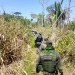 Polícia Militar prende três homens por desmatamento ilegal em Colniza