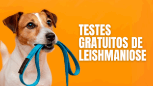 Prefeitura de Barra do Garças realiza testes rápidos de leishmaniose nesta sexta-feira (08)