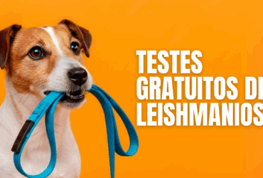 Prefeitura de Barra do Garcas realiza testes rapidos de leishmaniose nesta sexta feira 08 -CenárioMT
