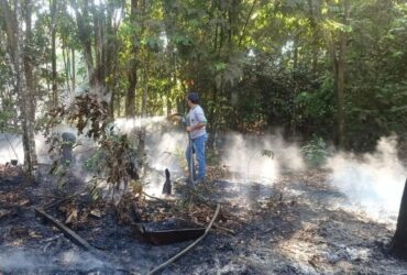 Produtores da agricultura familiar de Sorriso devem redobrar cuidados no periodo de seca 1 -CenárioMT