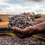 Sedec explora inovações em sementes durante missão internacional