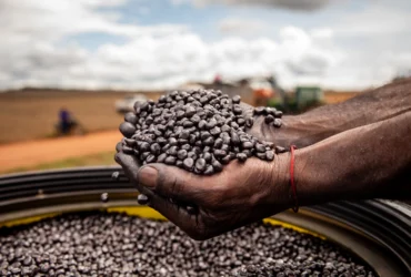 Sedec explora inovações em sementes durante missão internacional