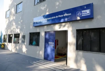 Taxas do Indea agora exigem CPF ou CNPJ de estabelecimentos rurais