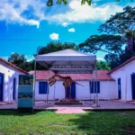 Novo termo de colaboração do Museu de História Natural terá investimento de R$ 5 milhões