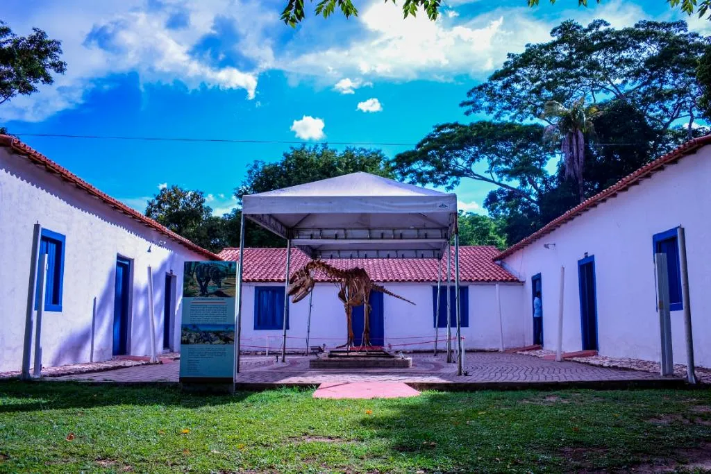 Novo termo de colaboração do Museu de História Natural terá investimento de R$ 5 milhões