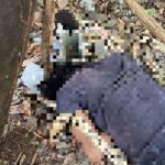 Guarda Civil Municipal foi acionada por denúncia anônima e localizou a vítima desacordada sobre um banco; Corpo de Bombeiros constatou o óbito