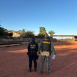 Ação cumpre 10 mandados de busca e apreensão em residências e madeireiras suspeitas; área desmatada em 2024 ultrapassa 1.140 hectares e indígenas relataram ameaças