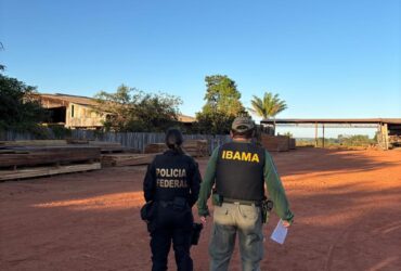 Ação cumpre 10 mandados de busca e apreensão em residências e madeireiras suspeitas; área desmatada em 2024 ultrapassa 1.140 hectares e indígenas relataram ameaças