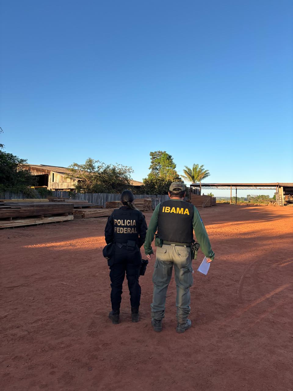 Ação cumpre 10 mandados de busca e apreensão em residências e madeireiras suspeitas; área desmatada em 2024 ultrapassa 1.140 hectares e indígenas relataram ameaças