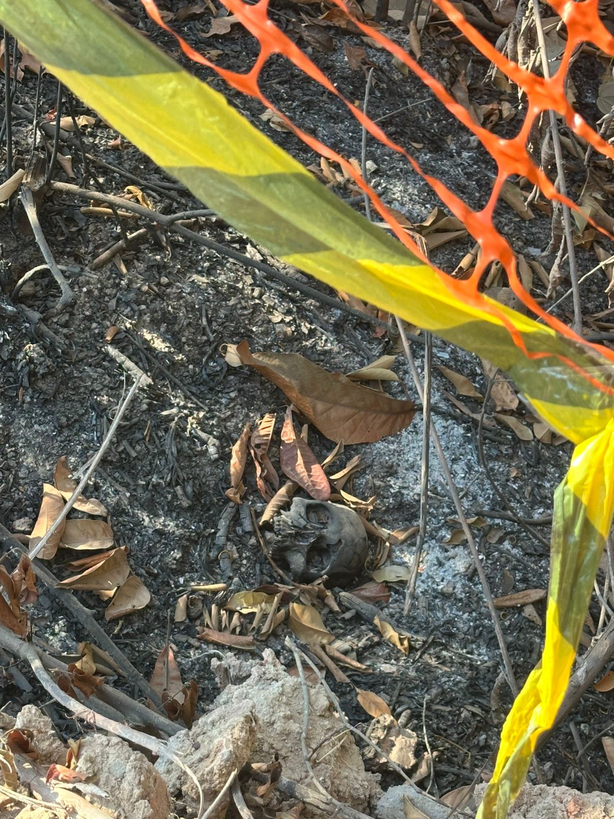 Trabalhadores localizaram parte da ossada aos fundos do bairro Belvedere 2; perícia aponta que crânio apresenta marcas de fogo e será enviado ao IML para identificação.