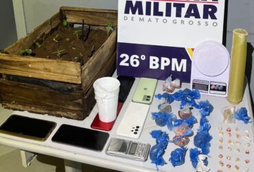 Polícia Militar encontrou drogas, balanças de precisão e até cultivo de maconha em quitinete onde três crianças estavam sozinhas e trancadas