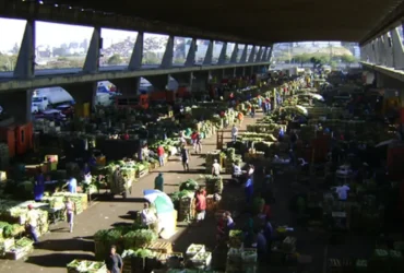 Ceagesp devolve R$ 90 milhões de IPTU a comerciantes