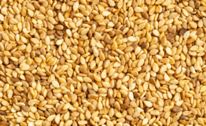 Abertura de mercado para exportação de gergelim do Brasil para a África do Sul