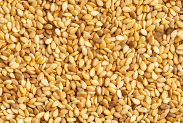 Abertura de mercado para exportação de gergelim do Brasil para a África do Sul