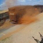 Imagens mostram momento em que caminhão-caçamba atinge traseira de boiadeiro; uma pessoa foi socorrida pela equipe de saúde do município