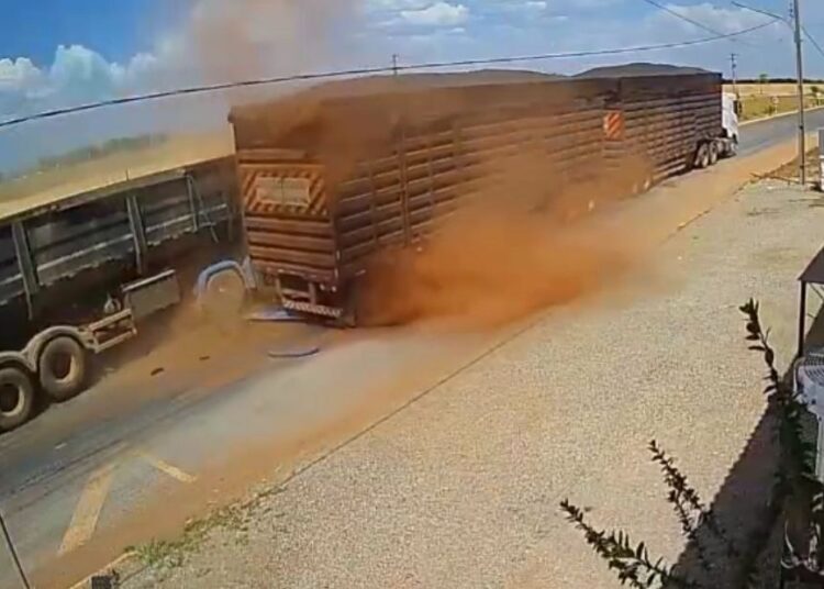 Imagens mostram momento em que caminhão-caçamba atinge traseira de boiadeiro; uma pessoa foi socorrida pela equipe de saúde do município