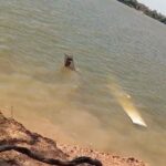 Três ocupantes saíram ilesos após incidente, mas deixaram a região sem acionar as autoridades. Polícia Civil investiga possível adulteração da identificação do avião.