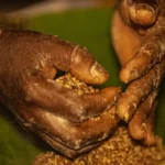 Quilombolas em Goiás enfrentam ameaças e conflitos por disputa de terras