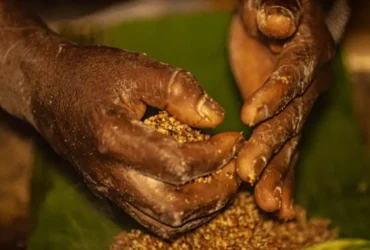 Quilombolas em Goiás enfrentam ameaças e conflitos por disputa de terras
