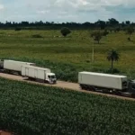 Leilão da Rota Agro define desconto de 19,7% no pedágio