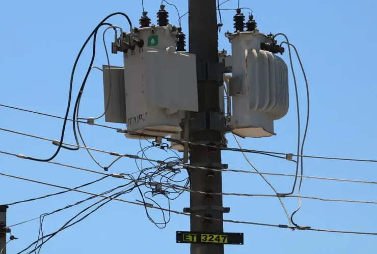 Esse número representa um aumento de 72% em comparação com o ano passado, quando foram registradas 58 prisões ao longo de 2024.