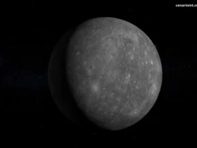 fases da lua hoje