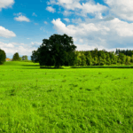 Leilão do Eco Invest Brasil tem demanda de R$ 17,3 bilhões e potencial para gerar R$ 31,4 bilhões em investimento para recuperação de áreas degradadas