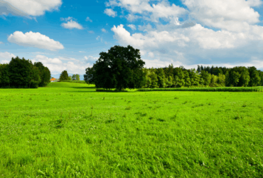 Leilão do Eco Invest Brasil tem demanda de R$ 17,3 bilhões e potencial para gerar R$ 31,4 bilhões em investimento para recuperação de áreas degradadas