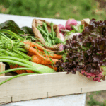 Mapa trabalhará para reconhecimento de equivalência do Sistema Brasileiro de Avaliação da Conformidade Orgânica