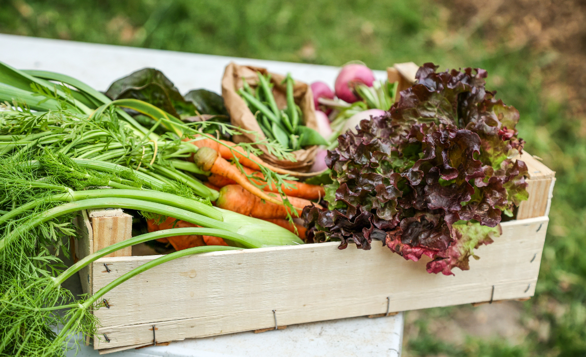 Mapa trabalhará para reconhecimento de equivalência do Sistema Brasileiro de Avaliação da Conformidade Orgânica