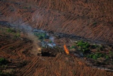 Clima fora de controle ameaça futuro de Mato Grosso, alerta pesquisadora