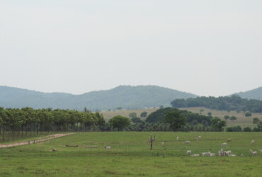 Famato alerta para o prazo de entrega da Declaração do Imposto sobre a Propriedade Territorial Rural