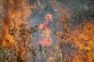 Mato Grosso lidera focos de calor em 2025 apesar de queda nas queimadas