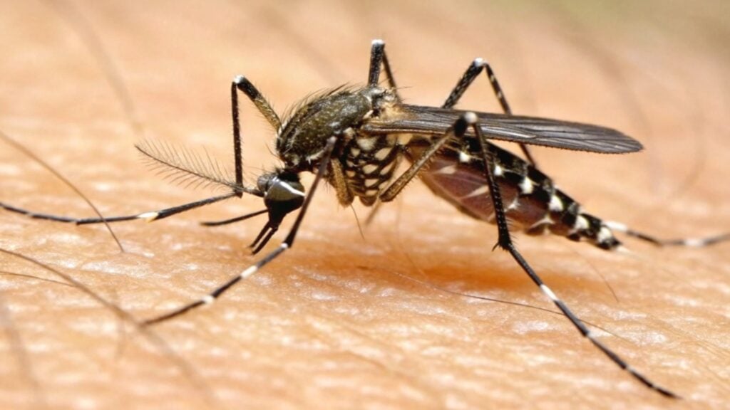 As equipes de agentes de saúde e agentes de endemias seguem com ações contínuas de orientação