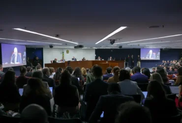 Heleno se distanciou de Bolsonaro e nega envolvimento em golpe