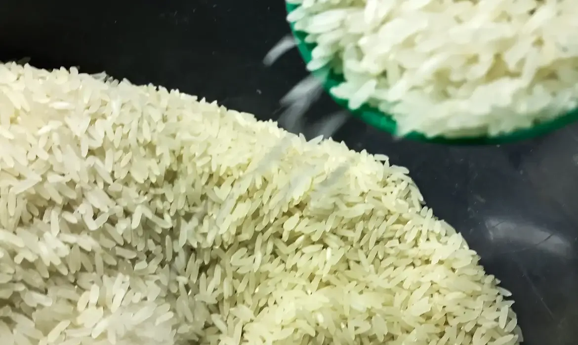 Conab destina R$ 300 milhões para produtores de arroz na safra 2025/26