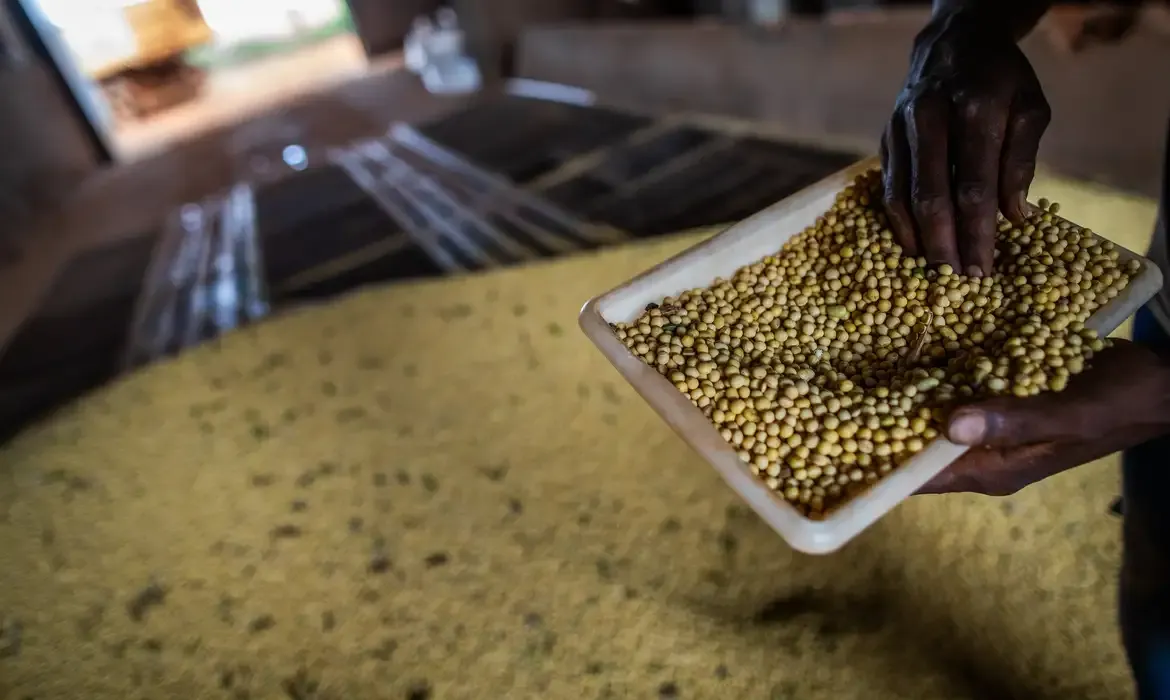 Sorriso lidera PIB agrícola no país com destaque para a soja