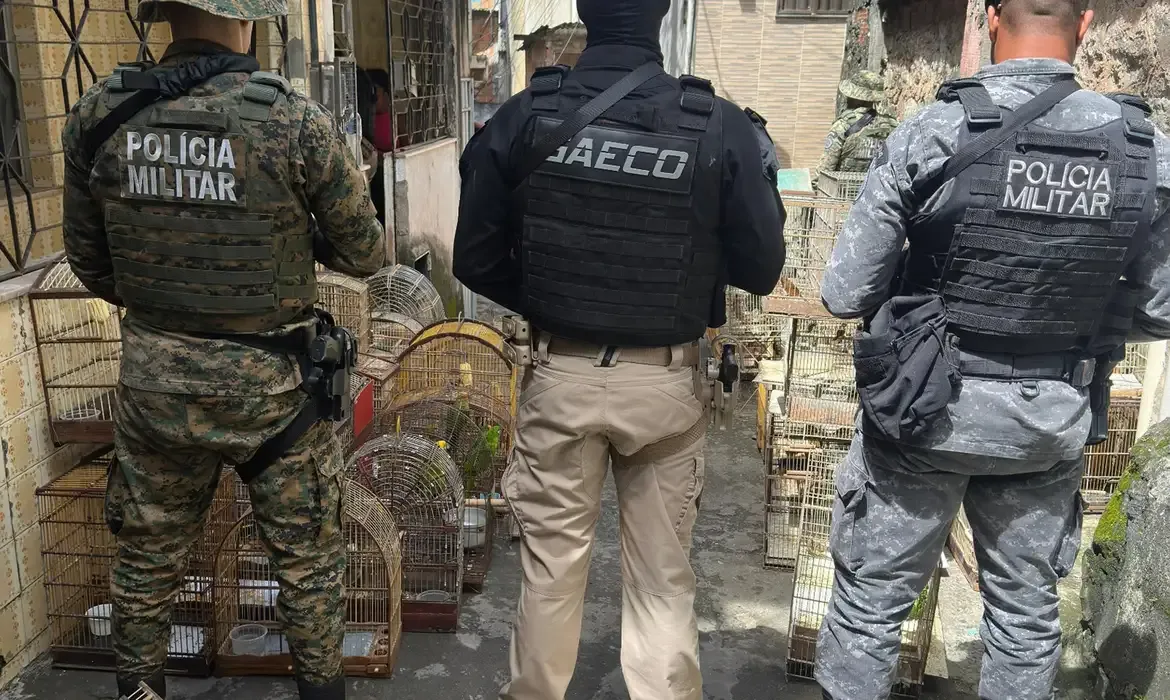 Polícia prende traficante de animais silvestres na Bahia