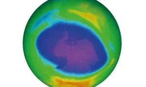 Camada de ozônio apresenta sinais de recuperação global