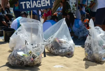 Mutirões reforçam a importância do Dia Mundial da Limpeza no Brasil