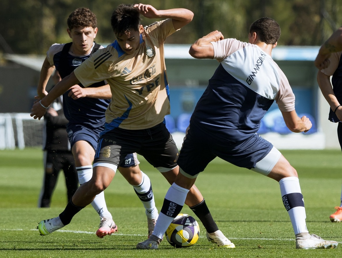 Equador x Argentina: horário, onde assistir e escalações das Eliminatórias da Copa. Imagem: Divulgação AFA