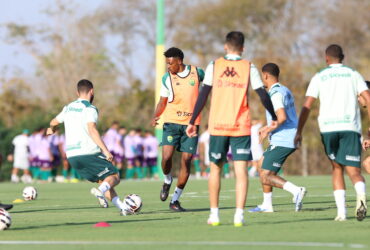 Cuiabá x CRB: Onde assistir ao vivo, escalações e tudo sobre o duelo da Série B. Imagem: AssCom Dourado