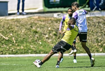 América-MG x Operário-PR: onde assistir, escalações e como chegam as equipes na Série B. Imagem: Mourão Panda/América MG