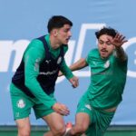 Palmeiras x Vasco: onde assistir, escalações e detalhes do duelo pelo Brasileirão 2025. Imagem: Cesar Greco/Ag. Palmeiras