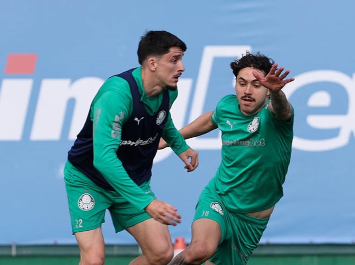 Palmeiras x Vasco: onde assistir, escalações e detalhes do duelo pelo Brasileirão 2025. Imagem: Cesar Greco/Ag. Palmeiras