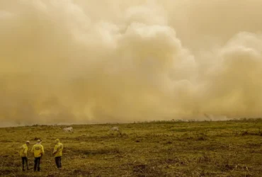 Inmet emite alerta de grande perigo por baixa umidade em seis regiões do país